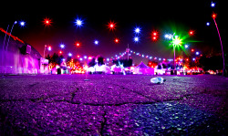 raveme:  nocturnal wonderland <3 