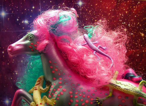 ✿ she's a carnival ✿