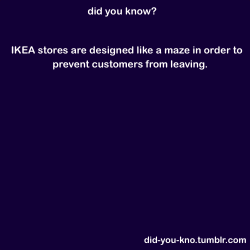 did-you-kno:   The theory is that while following a zig-zag trail between displays of  minimalist Swedish furniture, a disorientated Ikea customer feels  ­compelled to pick up a few extra impulse purchases. Source 