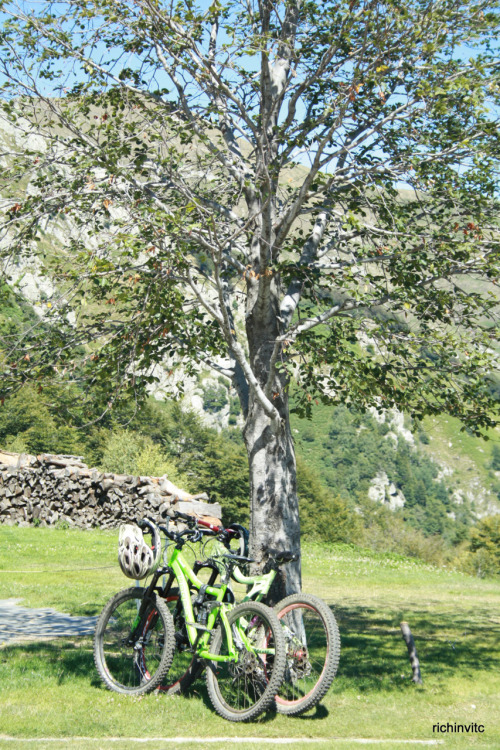 richinvitc: Bikes on lunch break #Lo Stallone #Locarno, waiting for their afternoon’s adventure