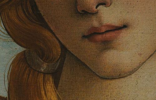 artdetails:  Detail of Sandro Botticelli’s The Birth of Venus 
