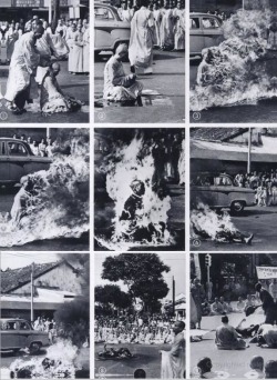 dodgenburn:   Malcolm Browne -  The Self-Immolation,
