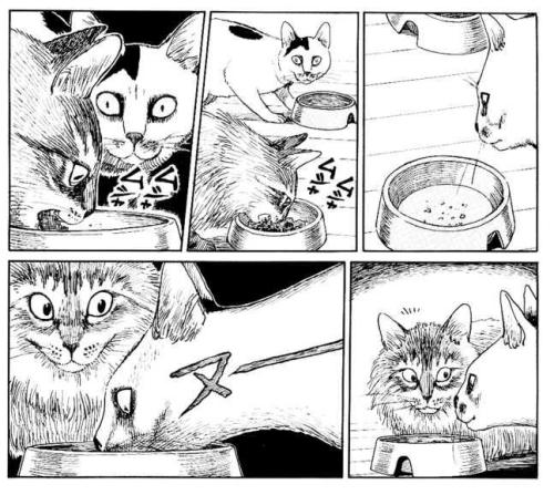 observatoriett:From Junji Ito’s cat diary.