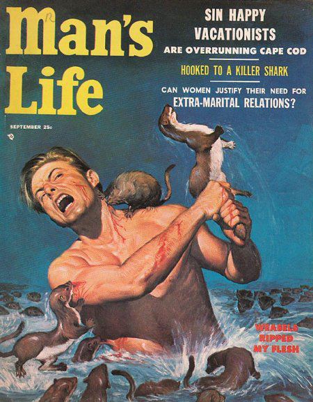 gingerhaze:  beyondtheseawaiting:  abbysanderson:  THIS IS A REAL MAN  FUCKING FIGHT THOSE WEASELS  SO MANLY WITH THESE WEASELS  