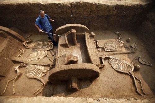 cooltry:  Ancient Chariots unearthed in China. Click for more. 