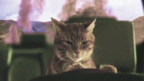mazgaoten:  listening to the drive soundtrack and this almost completely beatmatches