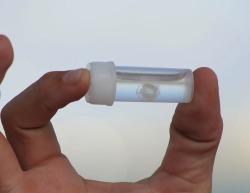 rats-in-the-walls:  glinted:  prazan:  le-on:  le-slip:  The Irukandji jellyfish is a tiny and extremely venomous jellyfish that inhabit the waters of Australia. They are no larger than 1 cubic centimeter but are able to fire their stingers into their