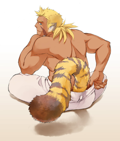 barablog:  I didn’t really get catgirls until I saw this. source 