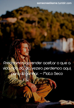 Árvore do Reggae ♫