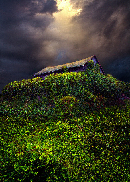 agoodthinghappened:  Forgotten  by PhilKoch on Flickr.  “We may slow as time passes but the ea