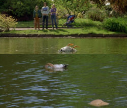 oldfilmsflicker:    Marcus: I was only trying to feed it.Will: What’s that floating in the water next to it? Is that…is that your mum’s bread? Bloody hell, Marcus, you didn’t have to throw the whole loaf; that would have killed me.  Movie Quote