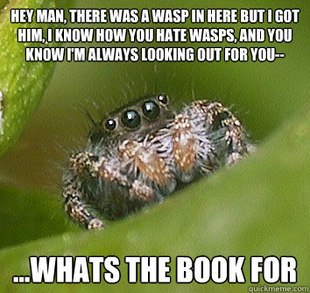 darkblackbuddha:  supersailor:  This is the best spider meme!   