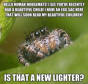 darkblackbuddha:  supersailor:  This is the best spider meme!   