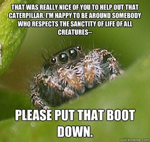 darkblackbuddha:  supersailor:  This is the best spider meme!   