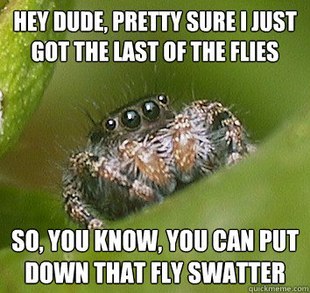 darkblackbuddha:  supersailor:  This is the best spider meme!   