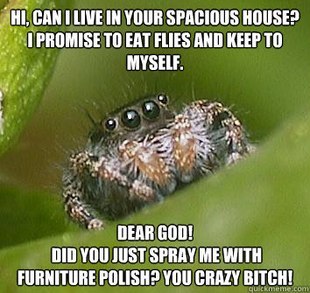 darkblackbuddha:  supersailor:  This is the best spider meme!   