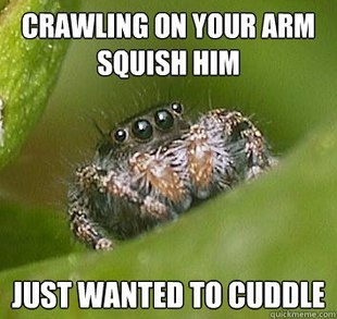 darkblackbuddha:  supersailor:  This is the best spider meme!   