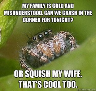 darkblackbuddha:  supersailor:  This is the best spider meme!   
