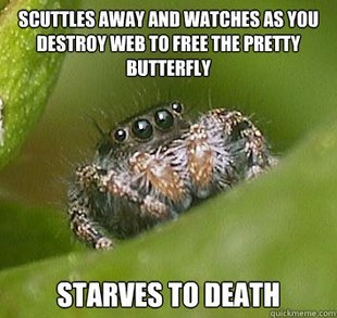 darkblackbuddha:  supersailor:  This is the best spider meme!   