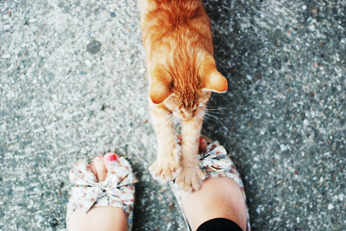 hellanne:  Do not move (by *December Sun) 