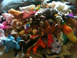 Dont talk shit about beanie babies
