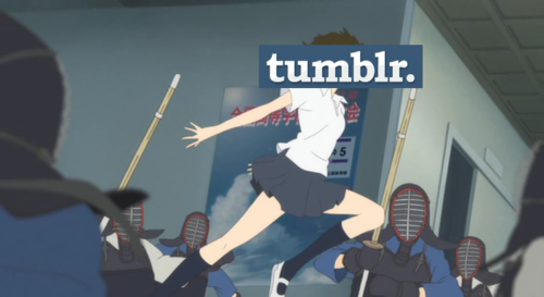 Tumblr wtf