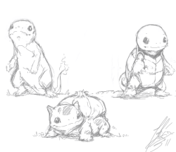 splitsoulsister:  Pokemon Starter sketches~ 