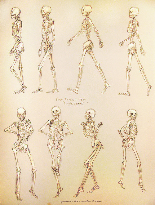 kim-am-i:  Single Ladies Skeleton Study by `yuumei Whaat? Mindblown.(this is not my photo, just to clear that up) 