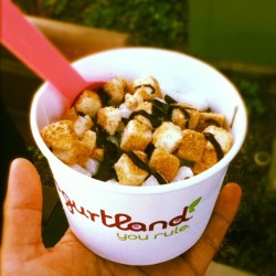Mochi and Cheese Cake squares! #TheKreators (Taken with Instagram at Yogurtland)