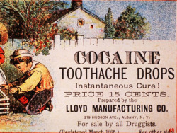 cocaine tooth drops