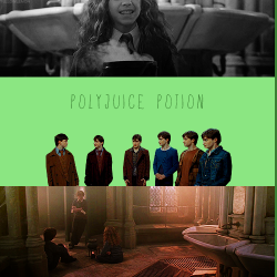 chamberofweasleys-blog:  HARRY POTTER ALPHABET ϟ  → P of  Polyjuice Potion“It tasted like overcooked cabbage. Immediately, his insides started writhing as though he’d just swallowed live snakes - doubled up, he wondered whether he was going to