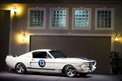 riderfour:  Ford Mustang GT 350 