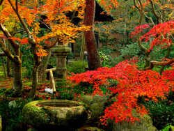 hersmilecarriesusawayusaway:  Kyoto again. Simply amazing.  