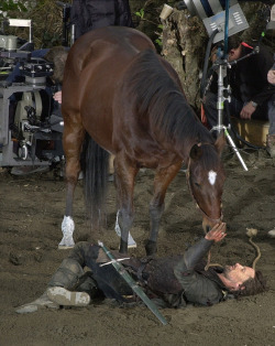 brocreate:  jerrydandrige | acollapseddream | recycleanimals:    Viggo bonded so much with the horse he rode in the Lord of the Rings series that after they finished filming, he purchased the horse from its owner.     