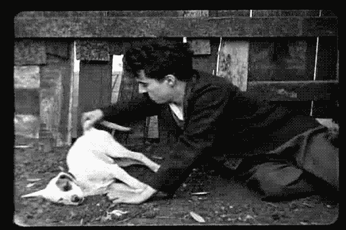 miyulivingdead:  Charlie … =) (all images from:  http://fuckyeahchaplin.tumblr.com/
