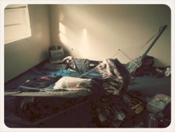 Tour diary via Matthew - The hammock in the living room - my accomodation in Salt Lake, yes, I&rsquo;m passed out under the blanket, avoiding the morning sun. Yes, we dragged that in there drunk, since the apartment is completely vacant and it was either