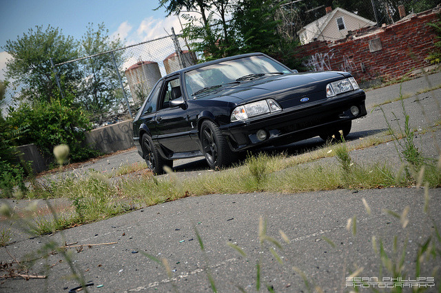 automotiveheart:  gorgeous black ‘93 cobra