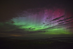 spacep0rn:  Lindisfarne causeway Aurora Borealis in Beal, England, Great Britain oh my god. 