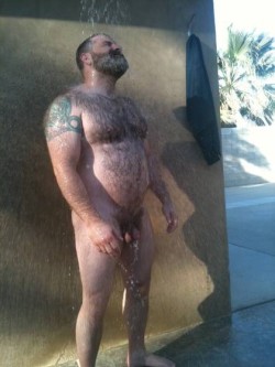 Bear Hairy Daddy