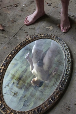 sublimecock:  Mirror images/157.