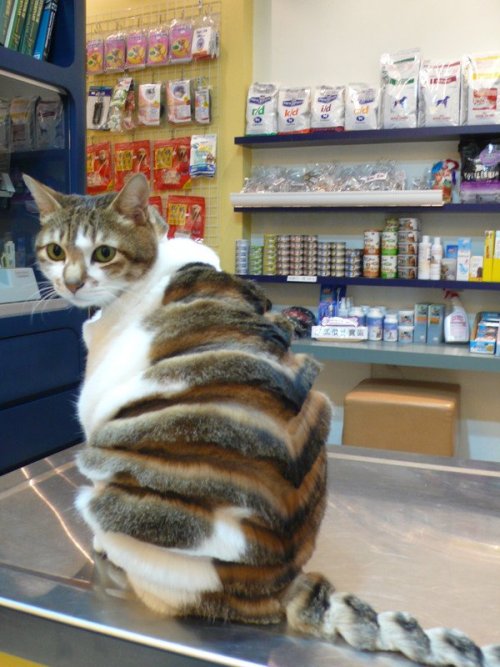 poifect:  this makes me feel uncomfortable  ^^^ word.