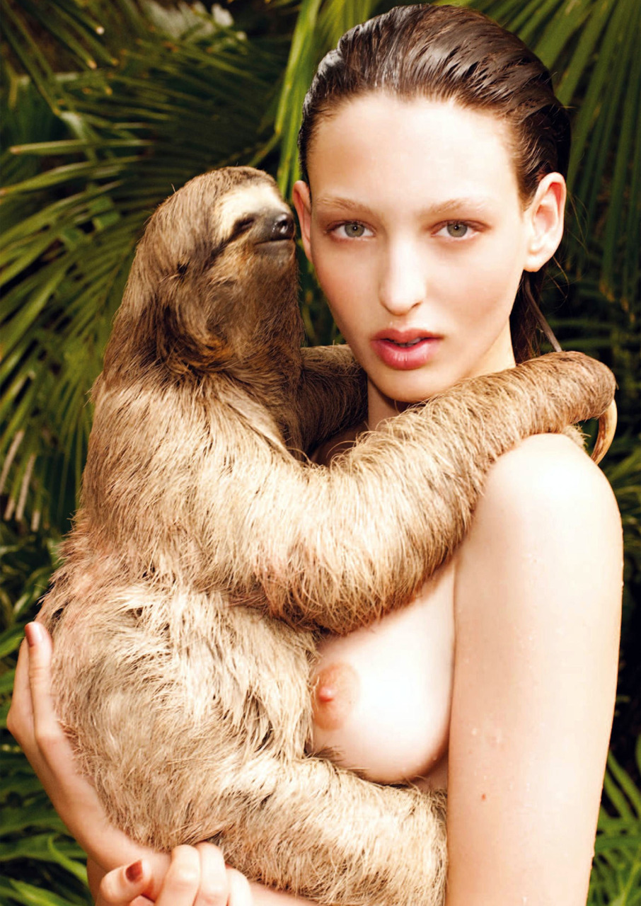 somethingtodestroy:  sloths &amp; boobs, i can die happy knowing this exists.