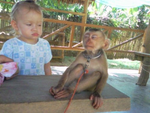 deckofficer: Oh dear god, the lack of trust in this picture, it’s like looking at a US-USSR me