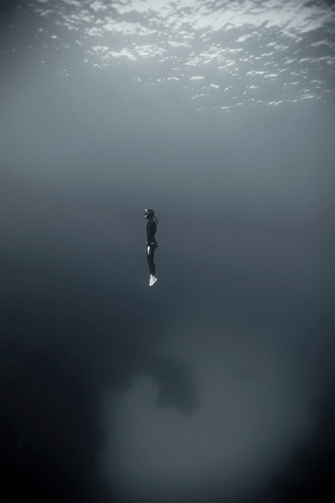 just keep swimmin'