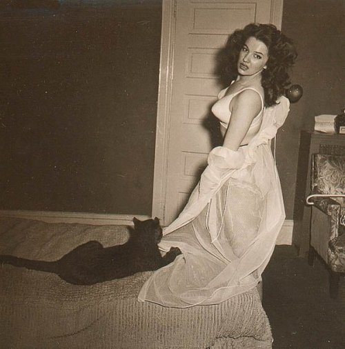 missstake:  theniftyfifties:  Burlesque performer Blaze Starr with her pet ocelot.  <3  I want an ocelot! I can so hide one in my dorm. :D