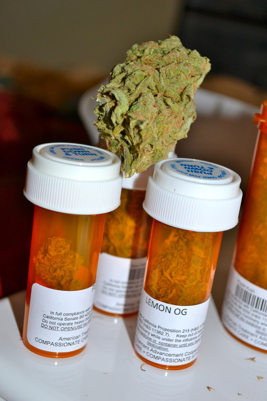 thatsgoodweed:  bud on a medical tripod 