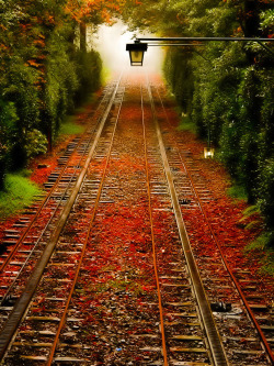 bluepueblo:  Autumn Railroad Tracks, Pennsylvania photo via besttravelphotos 