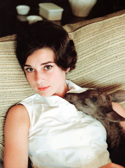 likiteesplit:   Audrey Hepburn with her deer