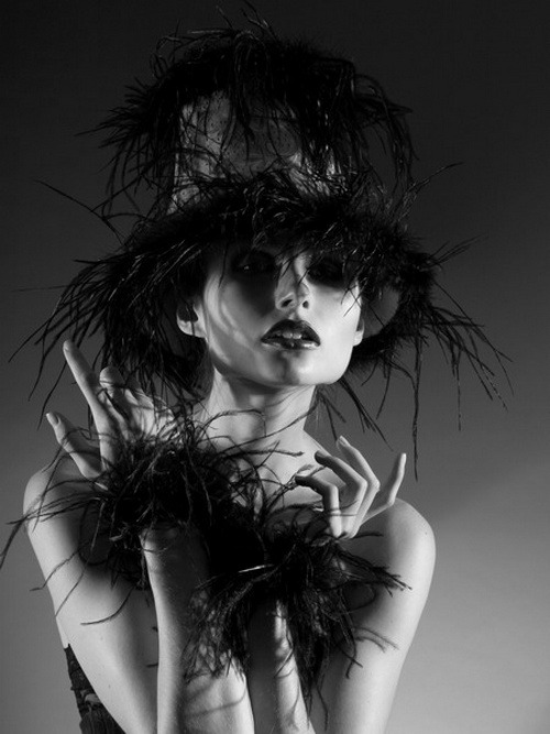 thegothcat:  © P. Ritchie 
