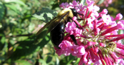 That awkward day when you take photos of insects for over an hour&hellip;